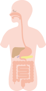 胃腸などの病気が原因で起こる口臭